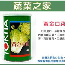 【蔬菜之家滿額免運】A69.黃金白菜種子3克(約750顆)(半結球.內葉白嫩.中間黃金色澤.葉形極美.口感柔嫩)