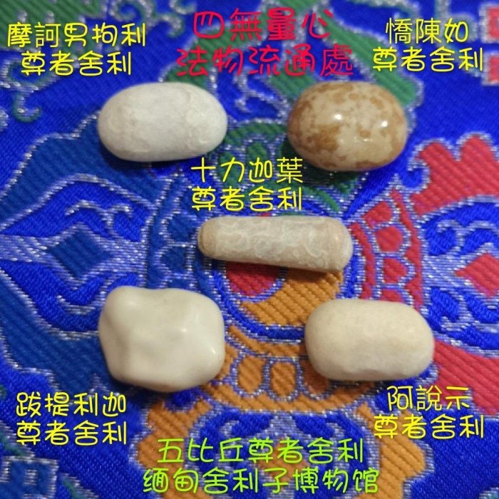 ~四無量心法物流通處~緬甸舍利子博物館~五比丘尊者舍利 (僅供瞻仰)