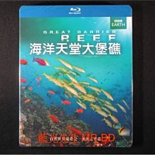 [藍光先生BD] 海洋天堂大堡礁 Great Barrier Reef BD-50G ( 得利公司貨 ) - 國語發音
