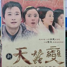 影音大批發-S252-正版DVD-大陸劇【新天蠶變 全31集12碟】-吳京 李小冉 沈曉海(直購價)海報是影印