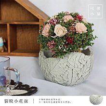 （台中 可愛小舖）歐式鄉村風破裂不規則造型裂紋面花器特色陶瓷庭院多肉植物排水孔洞造景擺飾小花盆盆器盆栽花店庭園花圃用