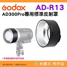 神牛 Godox AD-R13 標準反射罩 公司貨 AD300PRO 專用 反光罩 閃光燈 神牛卡口 可裝 DB-10