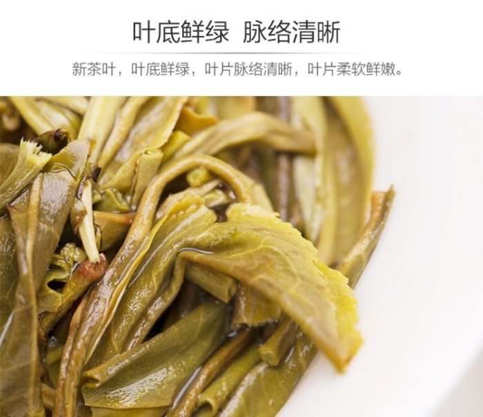 普洱茶生茶 [彩程] 2017年 布朗神韵古樹茶 頭春臻品 357g 生茶