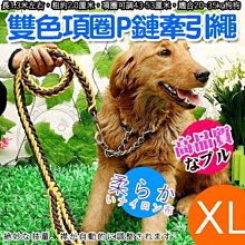 【🐱🐶培菓寵物48H出貨🐰🐹】dyy》寵物升級版雙色項圈P鏈牽引繩-XL號粗2.5cm 特價129元(蝦)