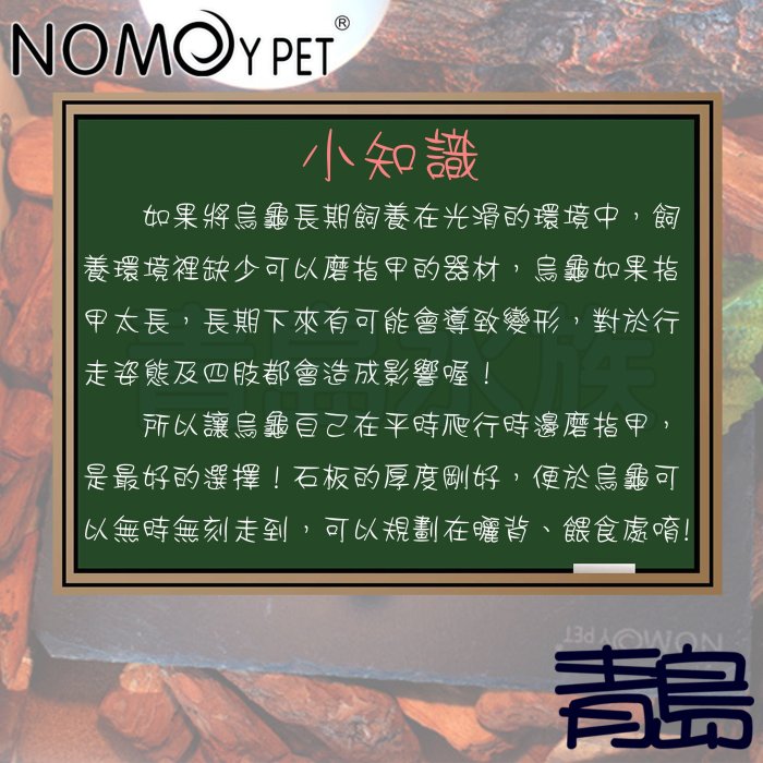 Y。。。青島水族。。。NFF-26-1010中國NOMO諾摩-烏龜專用爬行岩板陸龜食盆磨甲曬背 石板迷你10x10cm