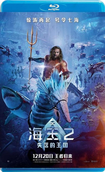 【藍光電影】 水行俠2 失落王國 / 海王2 / Aquaman and the Lost Kingdom (2023)