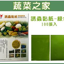 【蔬菜之家滿額免運003-A63】誘蟲黏紙-綠色黏蟲紙100張入※不適用郵寄掛號※