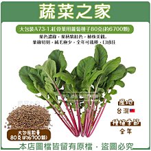 【蔬菜之家滿額免運00A73-1】大包裝.紅骨葉用蘿蔔種子80克(約6700顆)(蔬菜種子)※不適用郵寄掛號※