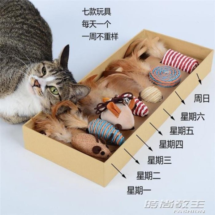 熱賣中 貓玩具逗貓棒7件套貓咪禮物禮盒貓玩具老鼠貓咪小貓玩具幼貓羽毛
