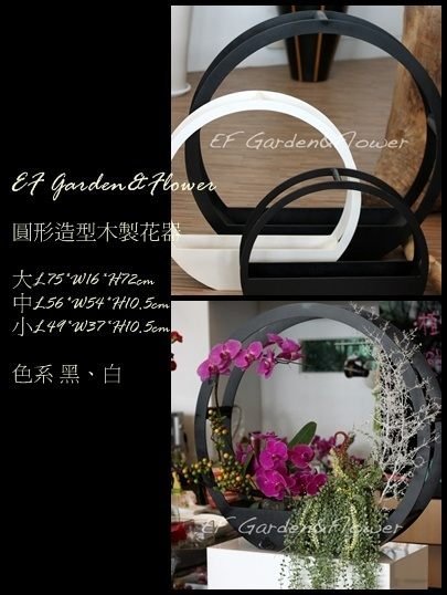 【EF Garden&Flower】蘭花設計 圓形花器 開幕誌慶 桃園中壢新竹花店 全省宅配