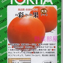 【野菜部屋~】L02 日本彩果蕃茄種子1000顆(原包裝) , 果粒大 , 產量多 ~