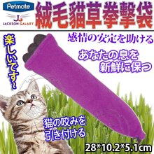 【🐱🐶培菓寵物48H出貨🐰🐹】美國PETMATE》傑克森絨毛貓草拳擊袋DK-31109 特價169元