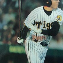 貳拾肆棒球--日本08BBM系列一日職棒阪神虎林威助