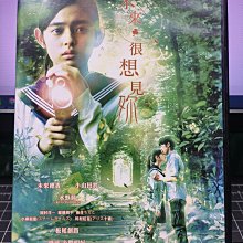 挖寶二手片-Y36-221-正版DVD-日片【未來很想見妳】-未來穗香 小山田將(直購價)