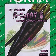 【野菜部屋~】I25 日本紫色胡蘿蔔種子1000粒原包裝 , 相當特別的品種 ~