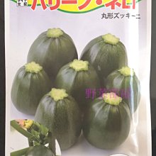 【野菜部屋~】Z14 綠色圓型櫛瓜種子2粒 , 果實漂亮深綠色 , 每包20元 ~