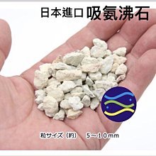 微笑的魚水族☆日本進口 吸氨沸石 100g 所有外掛過濾器均適用/可當烏龜底沙