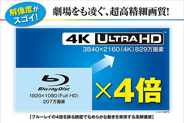 代購 4K BD 東京モノレール 浜松町〜羽田空港 全線往復 Ultra HD Blu-ray 4K UHD 風景BD