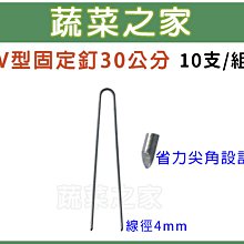 【蔬菜之家滿額免運】V型固定釘30公分10支/組//線徑4mm.尖角設計更省力.V型釘