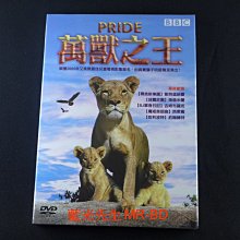 [DVD] - 萬獸之王 Pride ( 得利正版 )