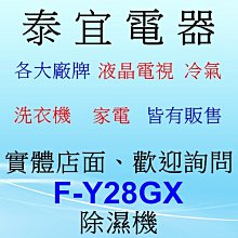 【泰宜】Panasonic 國際 F-Y28GX 除濕機 14L/日【另有RD-280HH1】