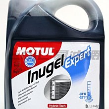 【易油網】【缺貨】MOTUL Inugel Expert -37C 濃縮冷卻液 水箱精 5L SHELL REPSOL