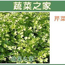 【蔬菜之家滿額免運】F03.芹菜種子種子5克(約9000顆)(田尾種，白骨青葉，黃心尾，質柔軟.蔬菜種子)