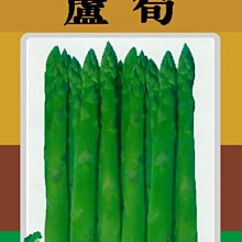 【野菜部屋~】I46 美國蘆筍種子1.4公克 , UC-157 F2品種 , 營養價值高 , 每包15元~