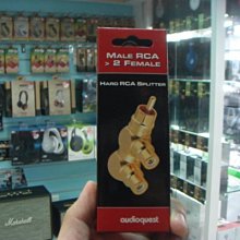 禾豐音響 美國 audioquest M22F - Male RCA 轉 2 Female RCA 超越 PG-W20