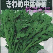 【野菜部屋~大包裝】C02 日本山茼蒿 1磅原袋裝 , 又名春菊, 約20萬顆種子~