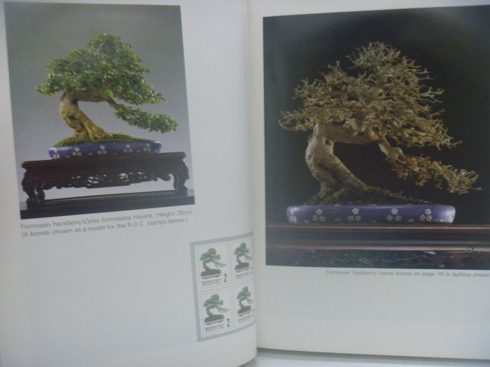 【月界】The Art of Bonsai(絕版)_Professor Amy Liang_梁悅美盆栽藝術〖園藝〗AJS