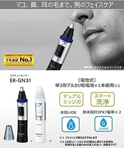 《現貨》日本原裝 Panasonic ER-GN31 鼻毛刀 電動修容刀 鼻毛機 修眉刀 電池式 可水洗【水貨碼頭