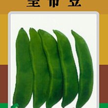 【野菜部屋~】J05皇帝豆種子10粒 , 風味絕佳 , 每包15元~