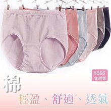 內褲【小百合】N Z 5266 棉材質 貼身 輕盈、舒適、透氣、吸濕 彈性修身 內褲台灣製