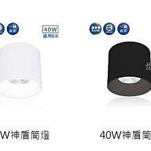 燈飾燈具【燈王的店】舞光 LED 40W 筒燈 白框/黑框 36° 神盾筒燈 全電壓  LED-CEA40