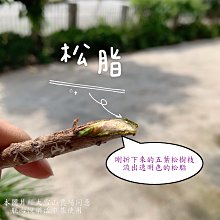 商品縮圖-4