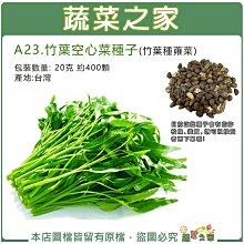 【蔬菜之家滿額免運】A23.竹葉空心菜(蕹菜)種子20克約400顆(竹葉種.細長尖狀葉口感脆.生長速.可收割多次.耐熱.耐濕)