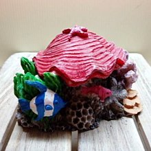 微笑的魚水族☆【氣動紅色貝殼 AD3519】波麗纖維製品，造型精美漂亮