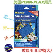 微笑的魚水族☆美國PENN-PLAX龐貝【玻璃用清潔棉(大) 15*23cm】WZP3