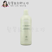 立坽『洗髮精』肯夢公司貨 AVEDA 純豐洗髮精1000ml HH03