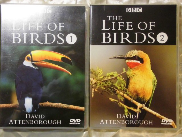 BBC 野鳥世界 The Life of Birds 3DVD