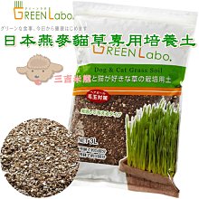 ❖三吉米熊❖【寵物燕麥草貓草專用培養土 | GreenLabo】種子土壤組合包_無農藥栽培_天然化毛膏_吐毛球/貓咪零食