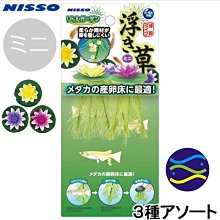 微笑的魚水族☆日本NISSO【迷你漂浮水草 産卵床 / 浮草 三色】鬥魚/躲藏/蓮花/荷花/浮萍N-NAP-524