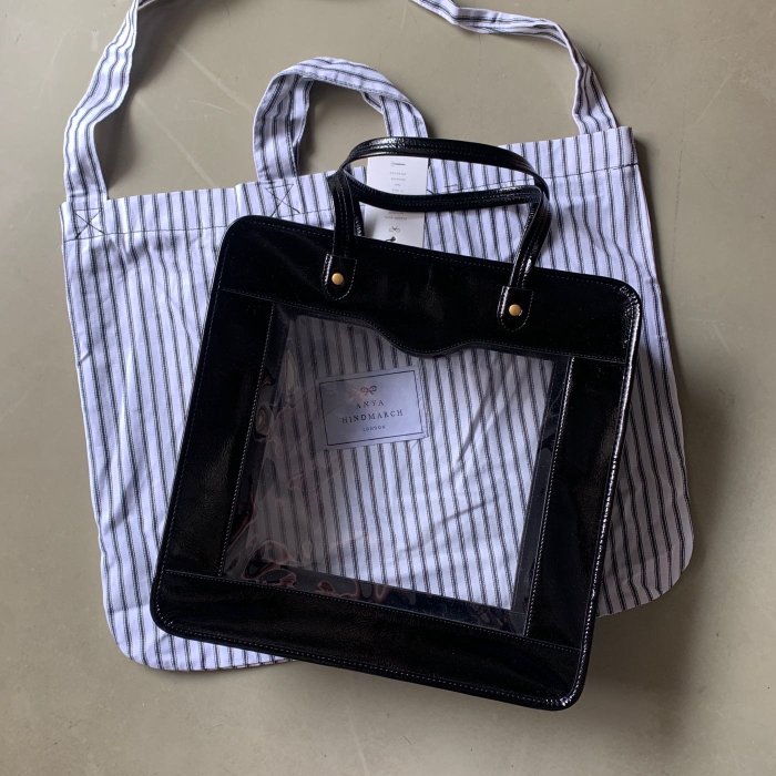 Anya Hindmarch Rainy Day Tote 透明包