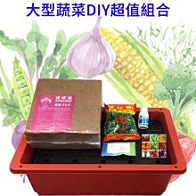 運【蔬菜之家滿額免運013-A10】大型蔬菜DIY超值組合※此商品運費請選擇宅配貨運※