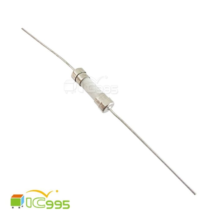 (ic995) 陶瓷 保險絲 保險管 帶線 帶引腳 FUSE T2.5A 250V 電子零件 壹包1入 #1197