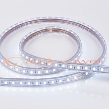 舞光 5050高壓室內軟條燈220V 黃光 白光 藍光 LED-50HV/2-W 高雄永興照明~