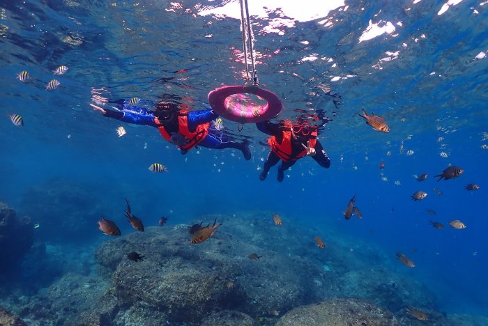 小琉球熊潛水-小琉球潛水證照PADI開放水域潛水員課程Open Water Diver