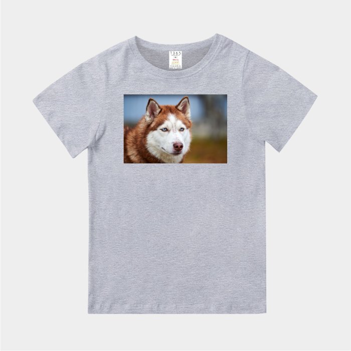 T365 MIT 親子 童裝 情侶 T恤 T-shirt 短T 狗 DOG 汪星人 哈士奇 二哈 Husky 毛孩