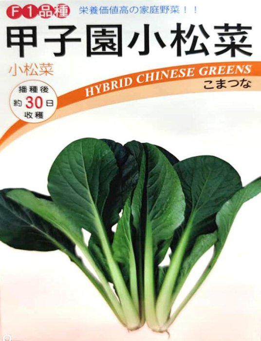 日本甲子園小松菜種子2000粒50元